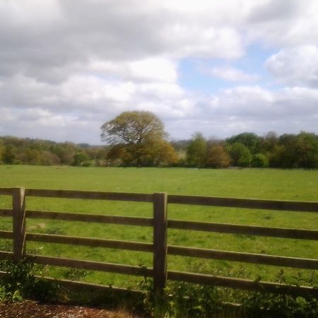 The Threshing Barn Apartment Harrogate Bilik gambar
